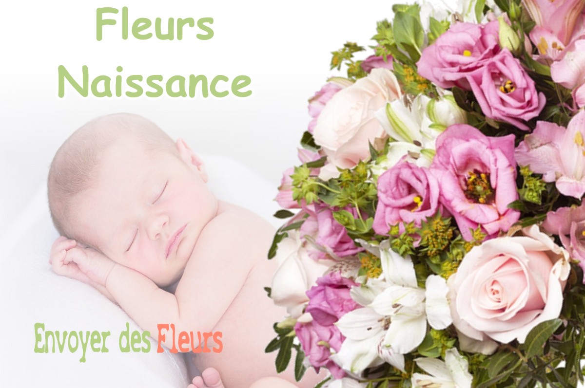 lIVRAISON FLEURS NAISSANCE à SOMMELONNE